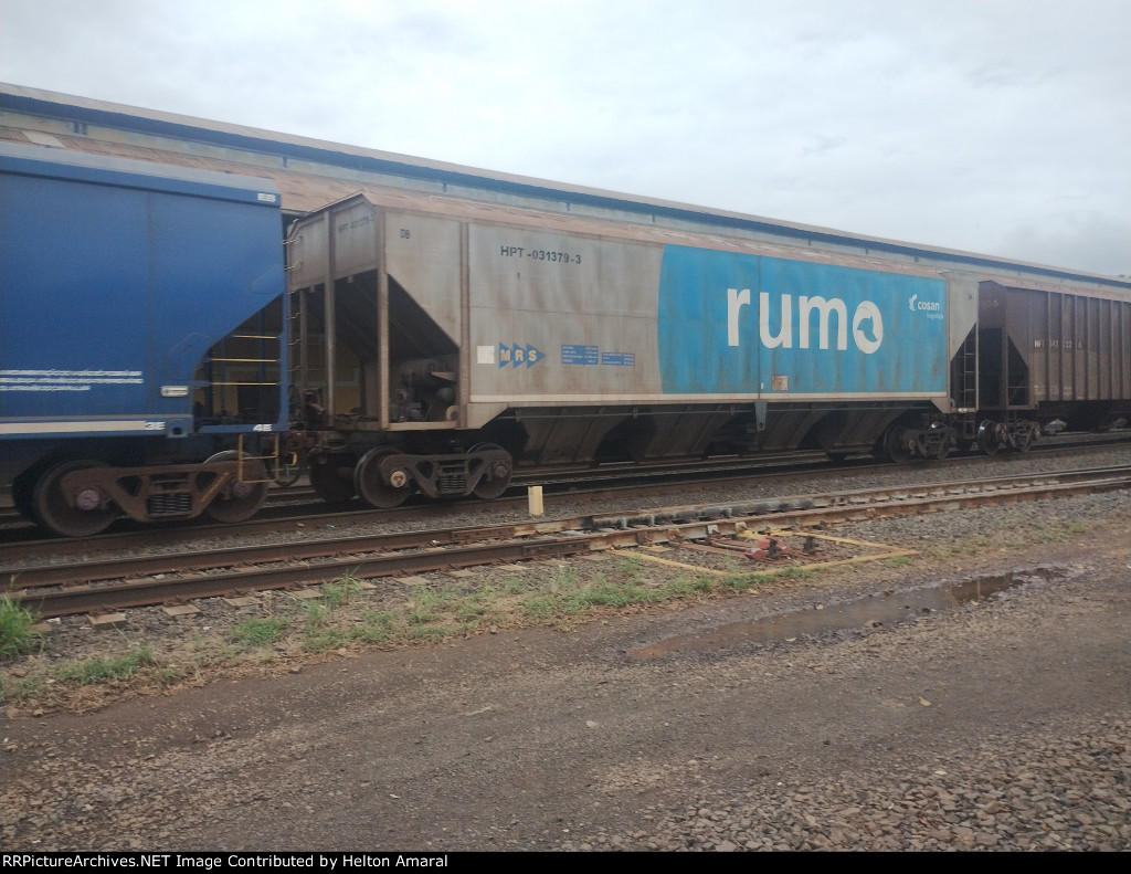 RUMO HPT-031379-3